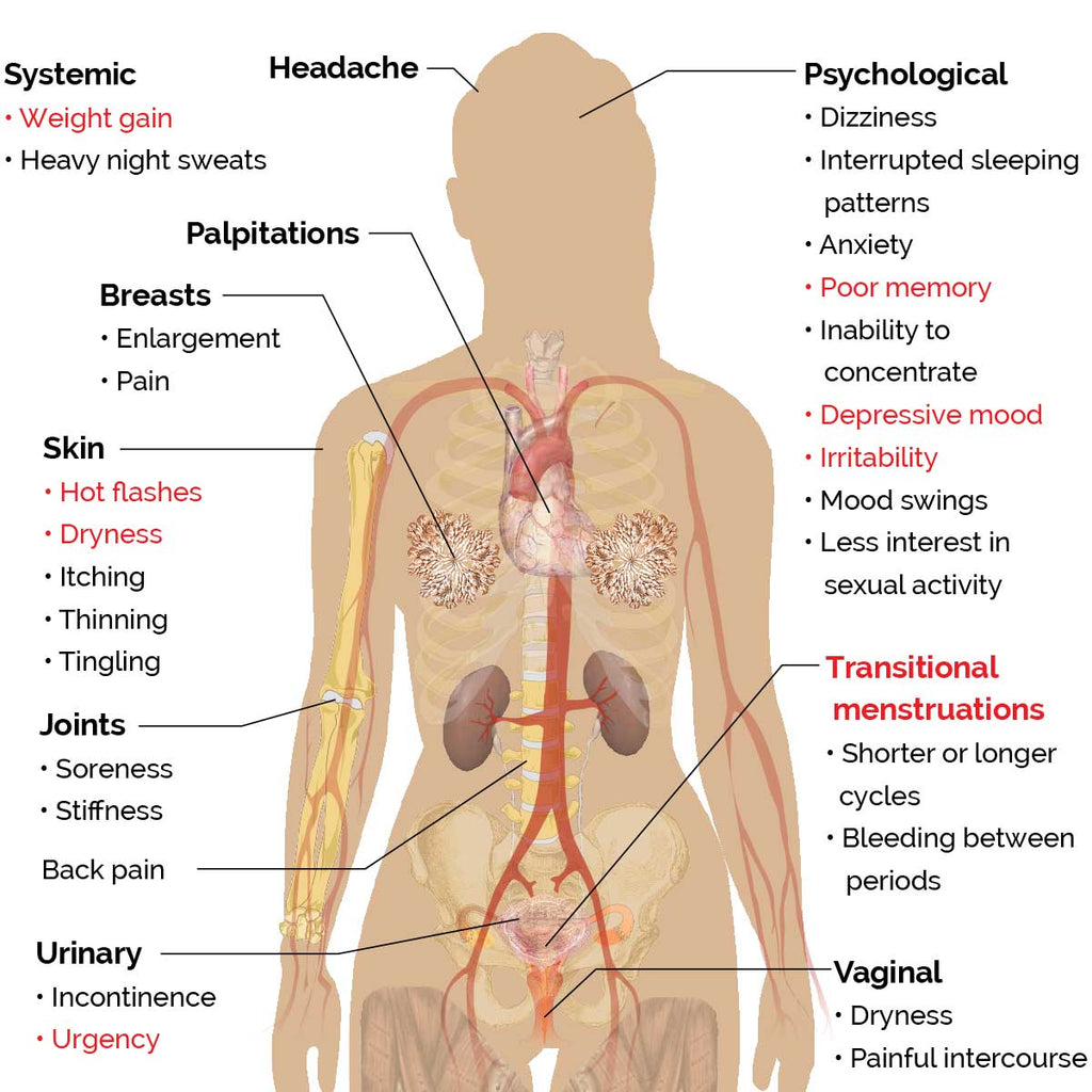 Oryza Gammax® - The effect of γ-oryzanol on menopausal symptoms and dysautonomia